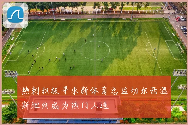 热刺积极寻求新体育总监切尔西温斯坦利成为热门人选